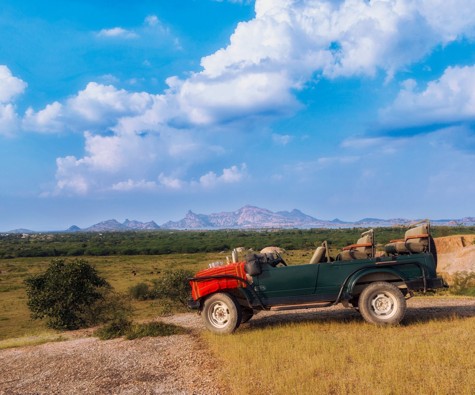 Varawal Leopard Camp — Wildlife with Pushpendra